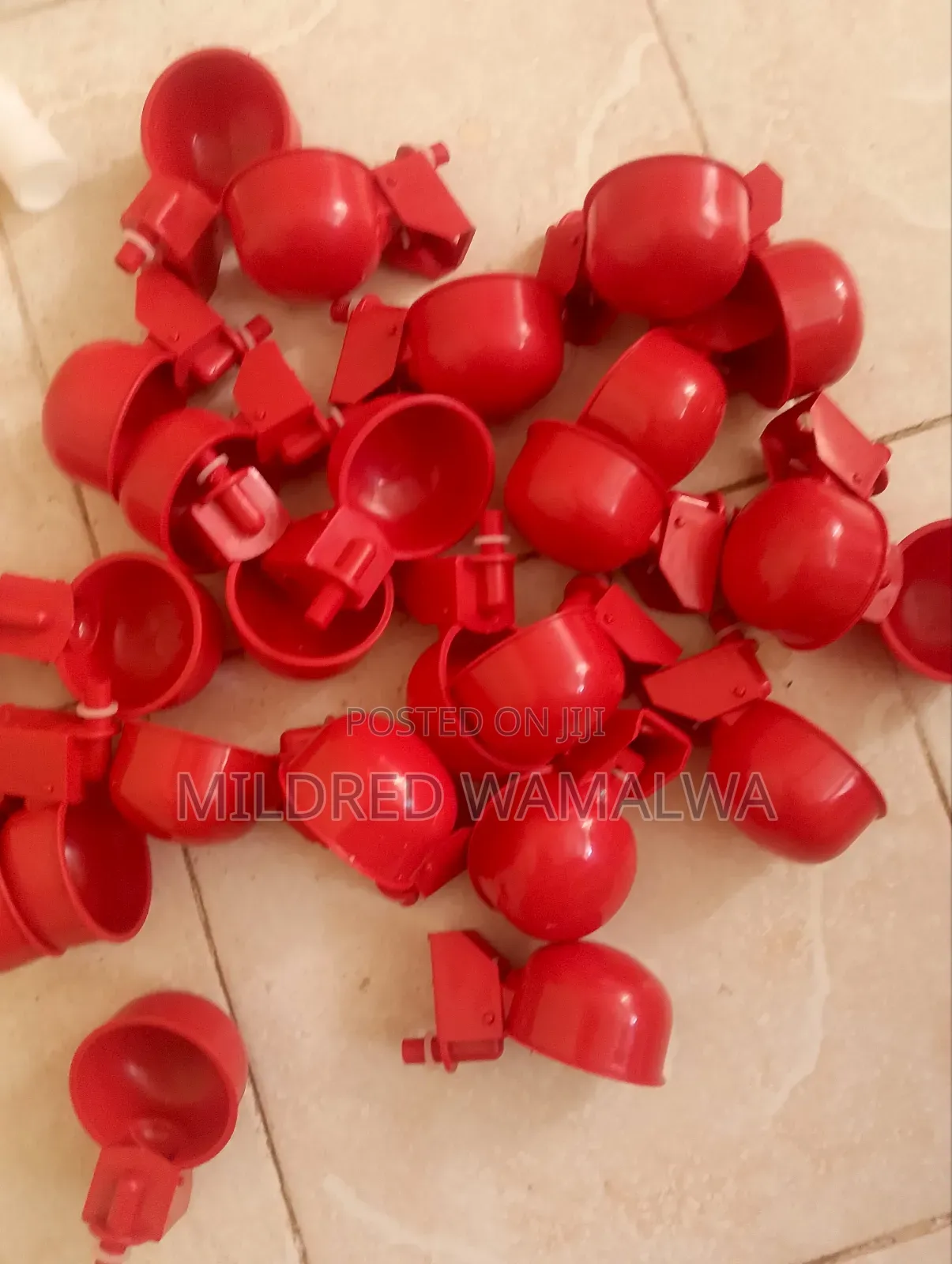 Chicken Automatic Cups