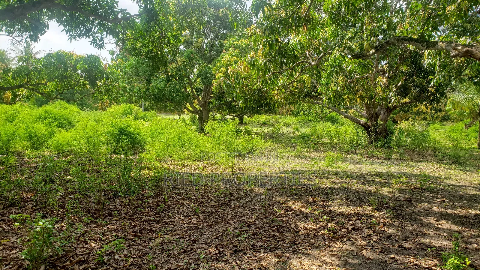 1 Acre in Malindi, Kilifi for Sale