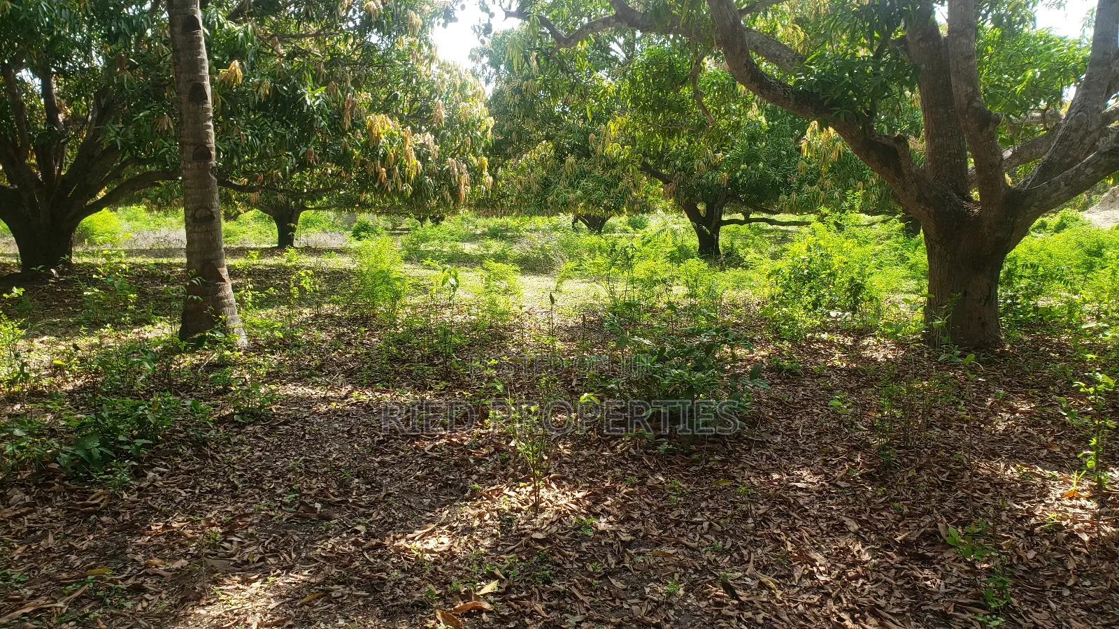 1 Acre in Malindi, Kilifi for Sale