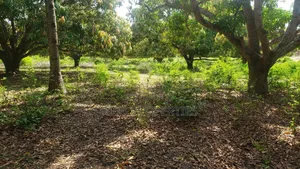1 Acre in Malindi, Kilifi for Sale