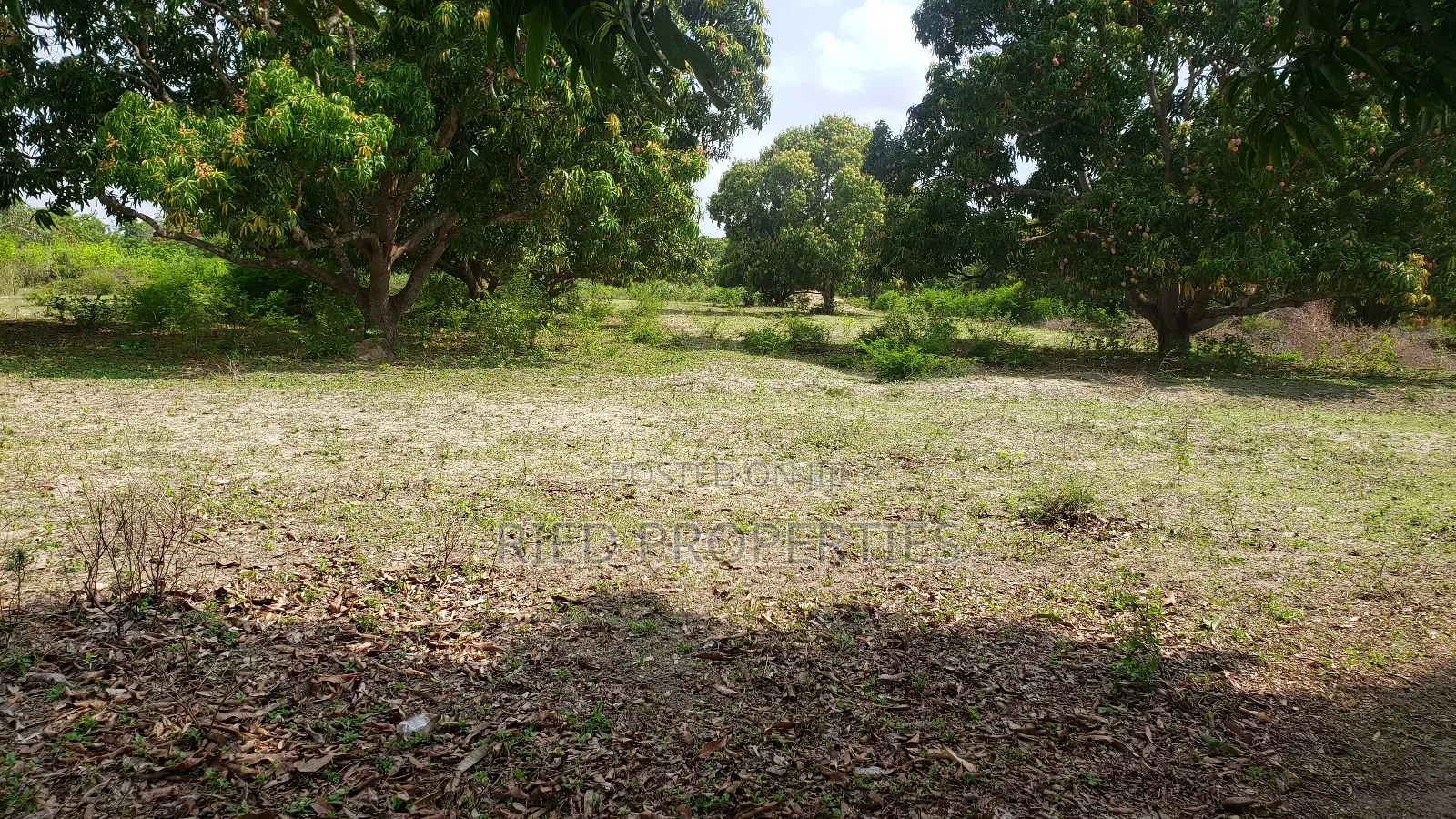 1 Acre in Malindi, Kilifi for Sale