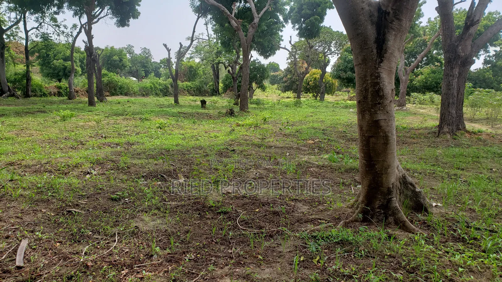 6 Acres in Malindi, Kilifi for Sale