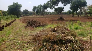 6 Acres in Malindi, Kilifi for Sale