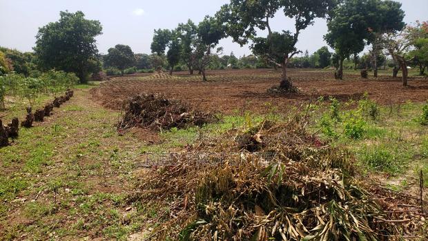 6 Acres in Malindi, Kilifi for Sale - thumbnail 4