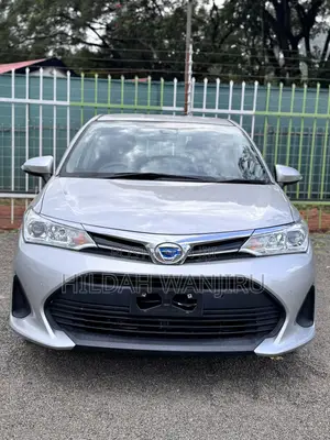 Toyota Corolla Fielder 2020 Silver