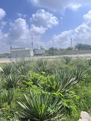 20 Acres Prime Development Land for Sale Along Mombasa Road