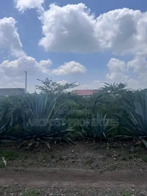 20 Acres Prime Development Land for Sale Along Mombasa Road