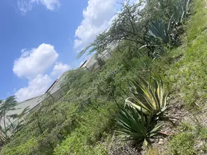 20 Acres Prime Development Land for Sale Along Mombasa Road
