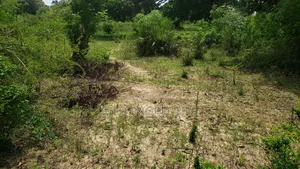 1 Acre in Malindi, Kilifi for Sale