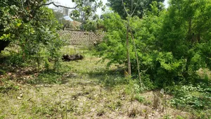1/2 Acre Commercial Plot in Malindi, Kilifi for Sale