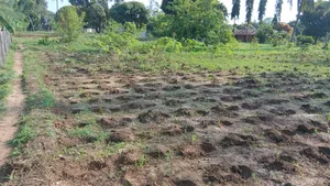 50by100 Plots in Malindi, Kilifi for Sale