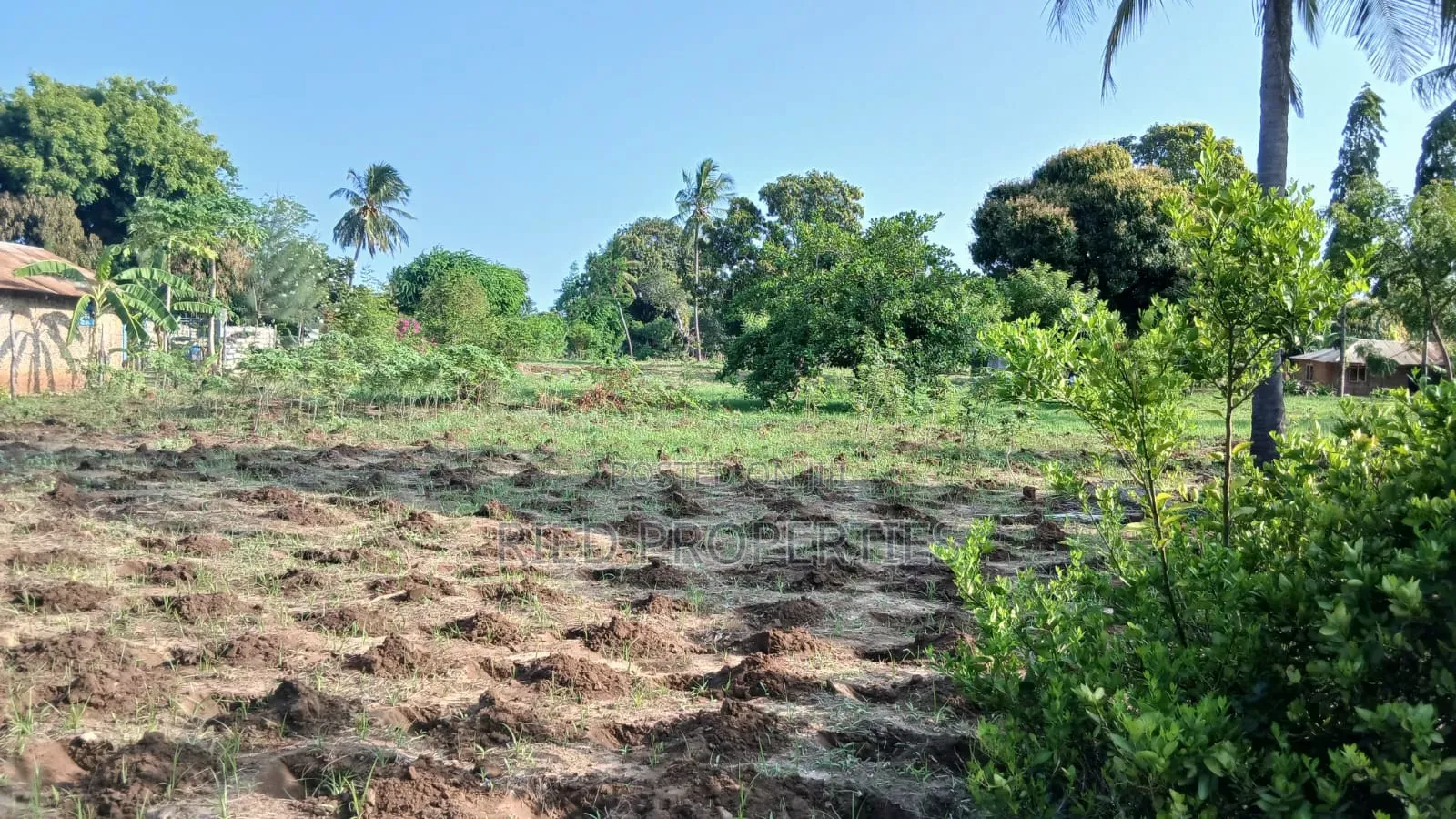 50by100 Plots in Malindi, Kilifi for Sale