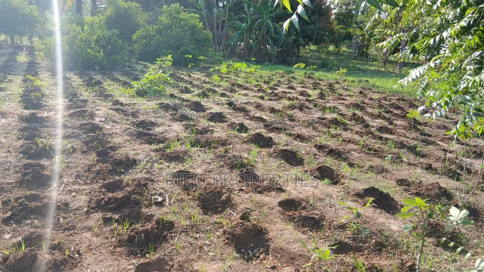 50by100 Plots in Malindi, Kilifi for Sale
