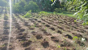 50by100 Plots in Malindi, Kilifi for Sale