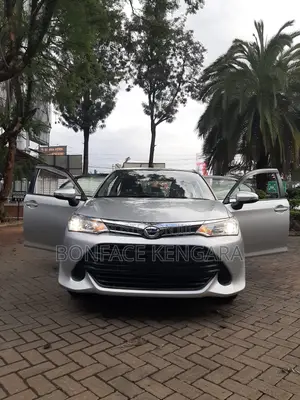 Toyota Axio 2017 Silver
