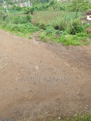 Kalundu Masinga Matuu 50by 100