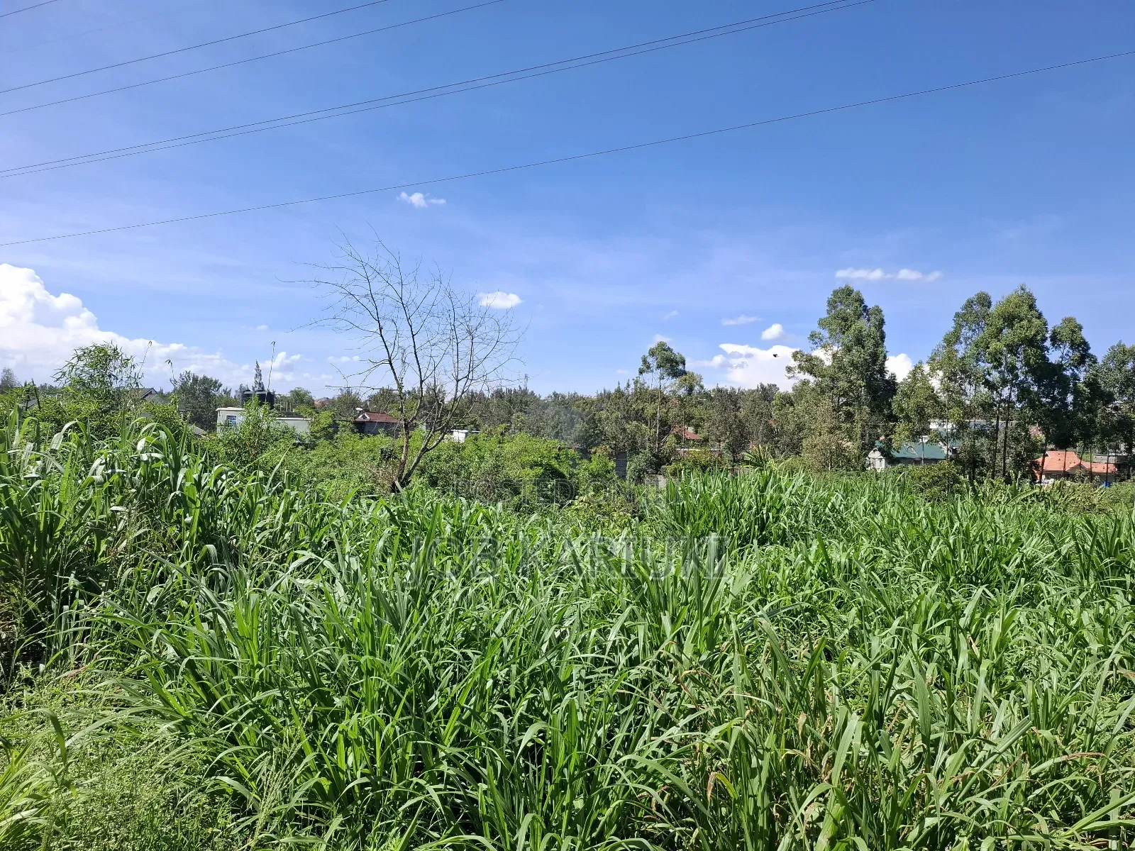 Plot in Northern Bypass Kahawa West ,Next to Membey Estate