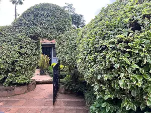 Prime Property Along Racecourse, Ngong Road