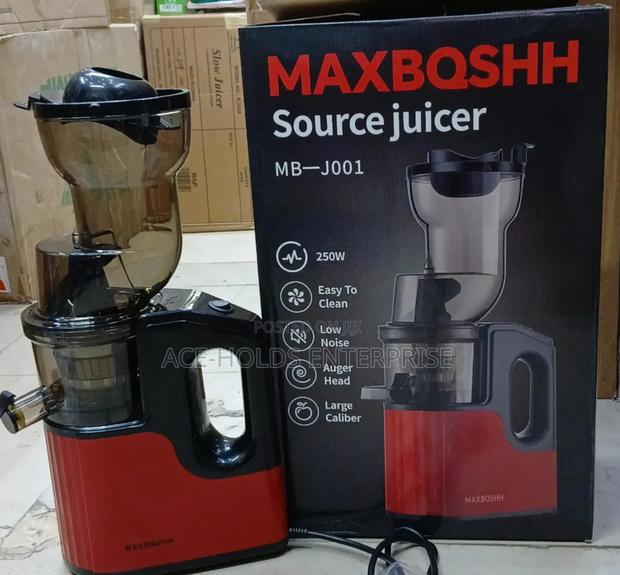 Max Bosch 250 Watts Low Noise Slow Juicer