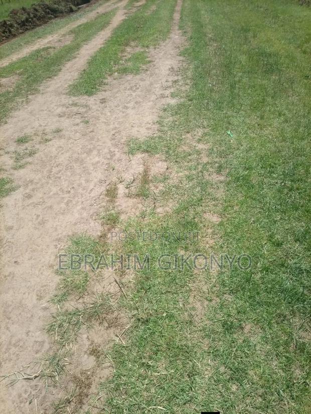 Land and Plots - thumbnail 2