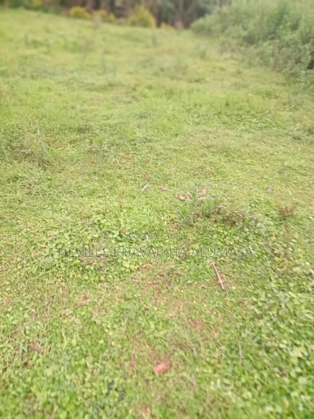 Land for Sale - thumbnail 2