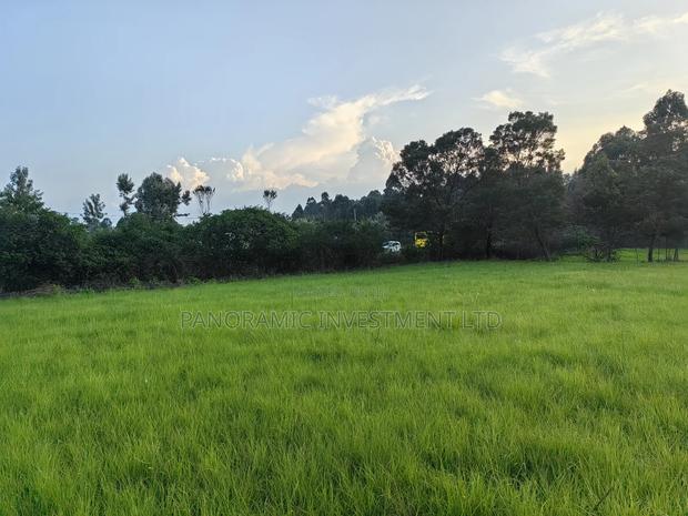 1 Acre for Sale in Ondiri Kikuyu Kiambu County. - thumbnail 2