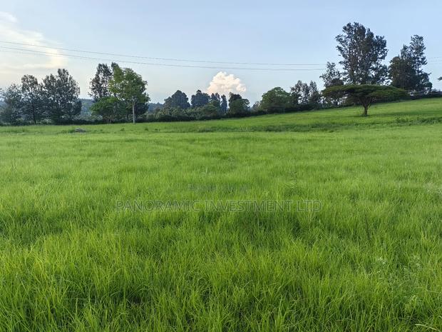 1 Acre for Sale in Ondiri Kikuyu Kiambu County. - thumbnail 4