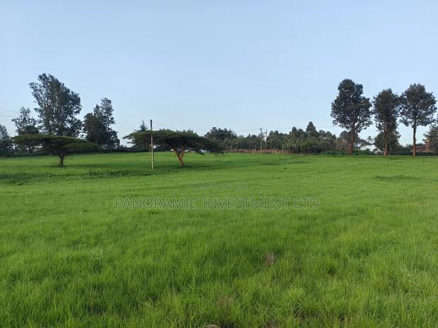 1 Acre for Sale in Ondiri Kikuyu Kiambu County. - thumbnail 5