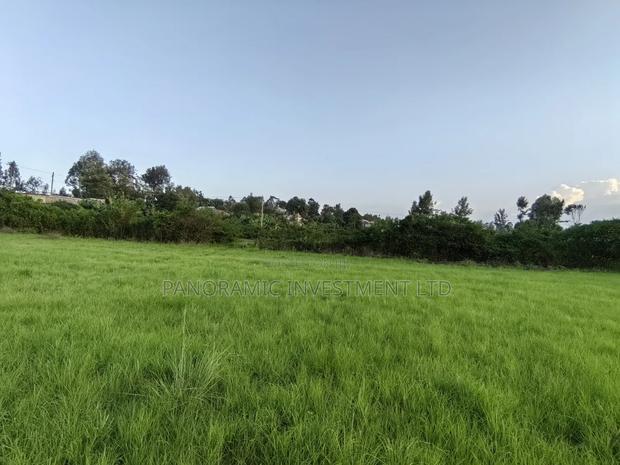 1 Acre for Sale in Ondiri Kikuyu Kiambu County. - thumbnail 6