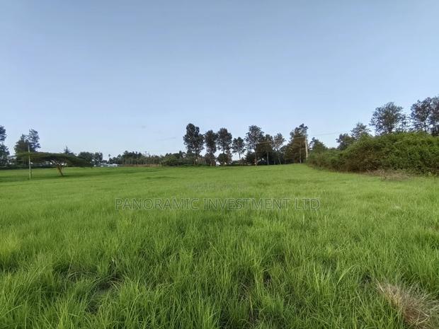 1 Acre for Sale in Ondiri Kikuyu Kiambu County. - thumbnail 7