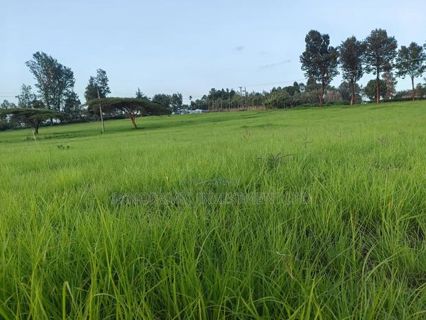 1 Acre for Sale in Ondiri Kikuyu Kiambu County. - thumbnail 8