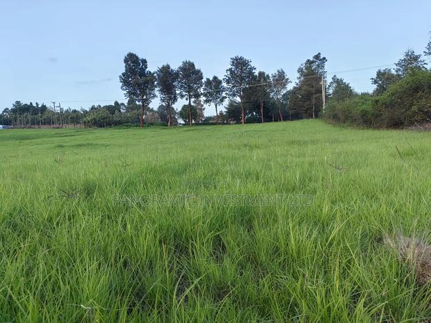 1 Acre for Sale in Ondiri Kikuyu Kiambu County. - thumbnail 9