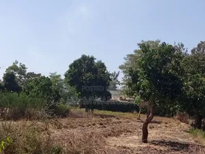 1 Acre Kenol Machakos