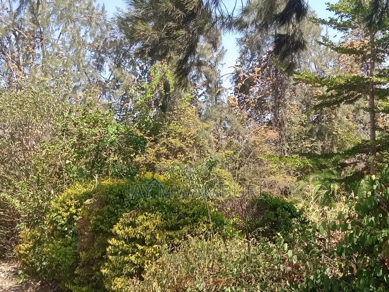 1 Acre Kenol Machakos