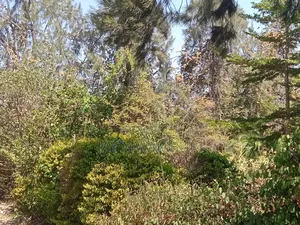 1 Acre Kenol Machakos