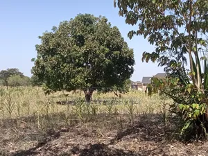 1 Acre Kenol Machakos