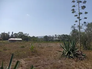 1 Acre Kenol Machakos