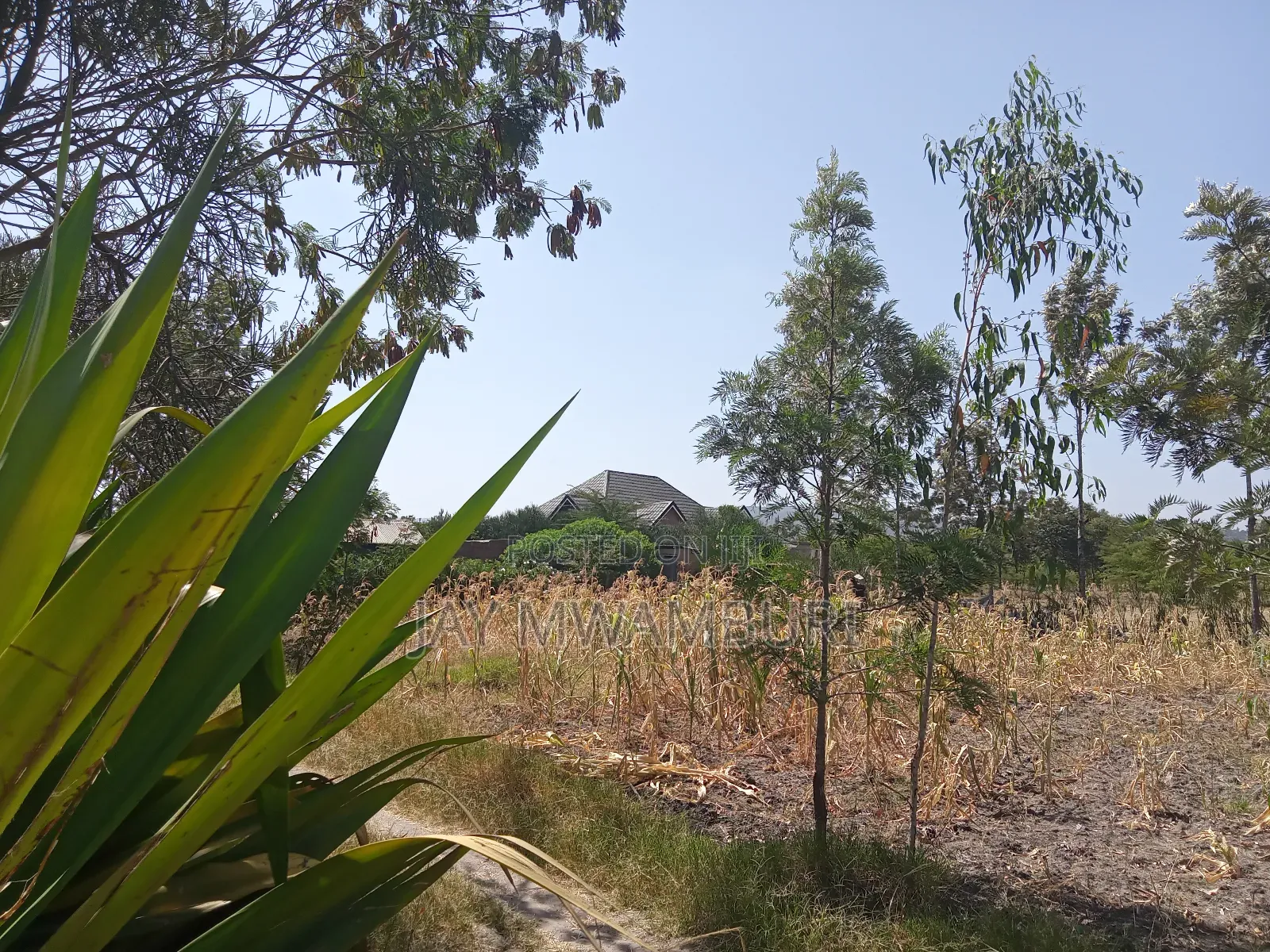 1 Acre Kenol Machakos