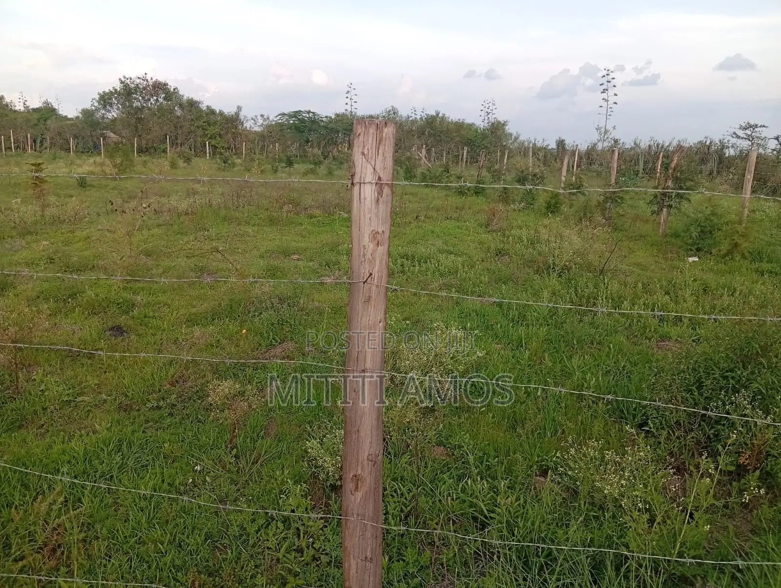 1/2 an Acre Muting'a Malaa