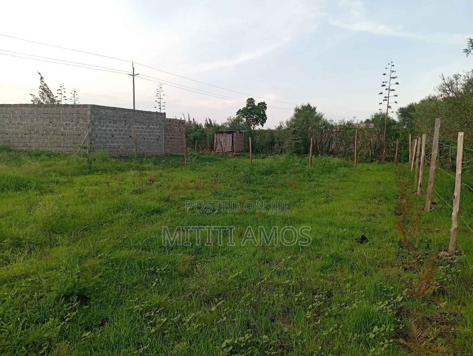 1/2 an Acre Muting'a Malaa