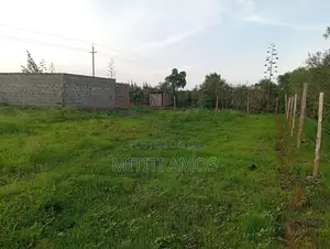 1/2 an Acre Muting'a Malaa