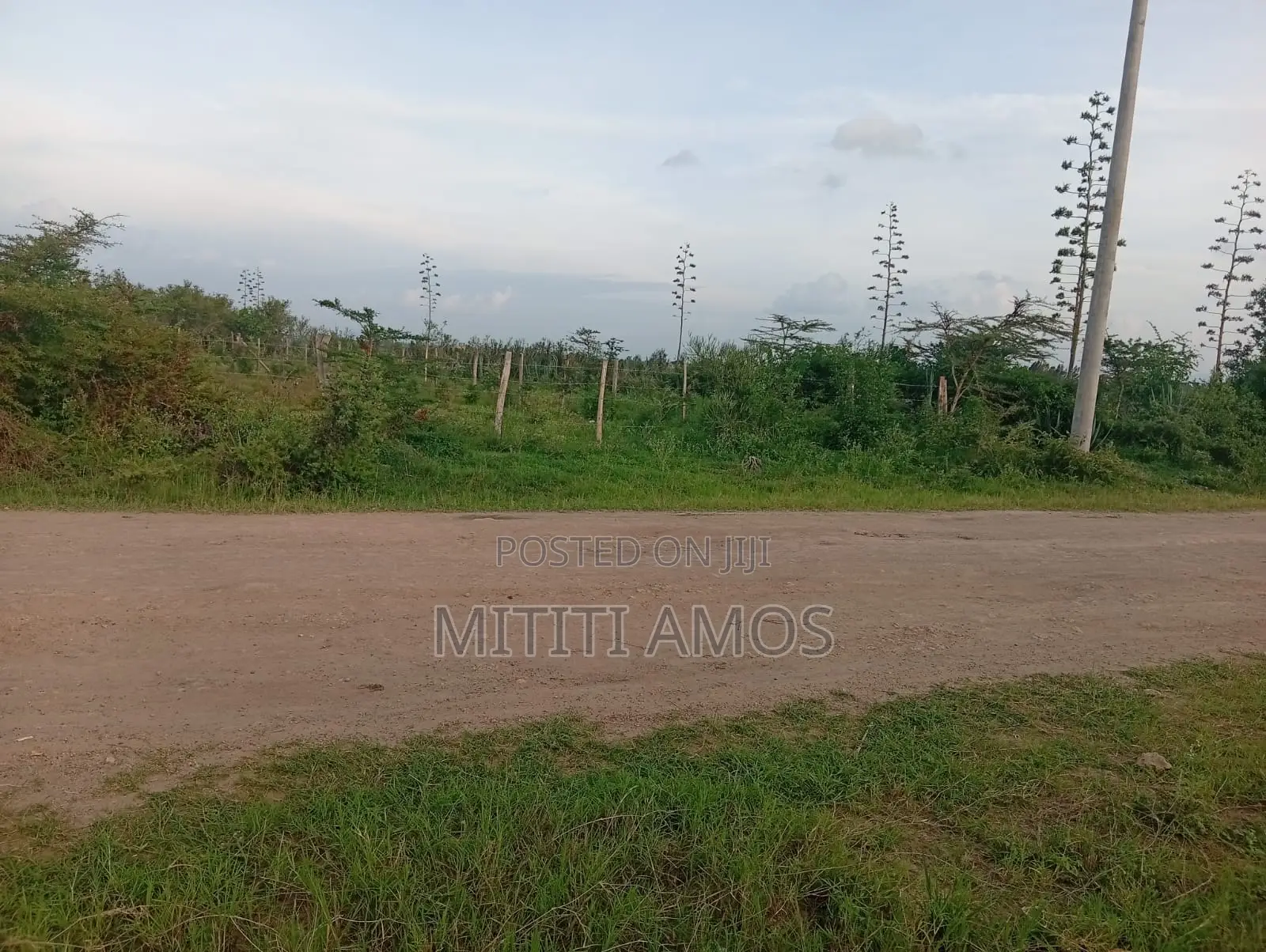 1/2 an Acre Muting'a Malaa