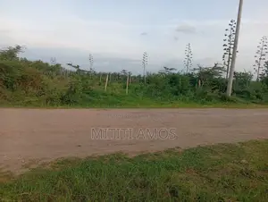 1/2 an Acre Muting'a Malaa