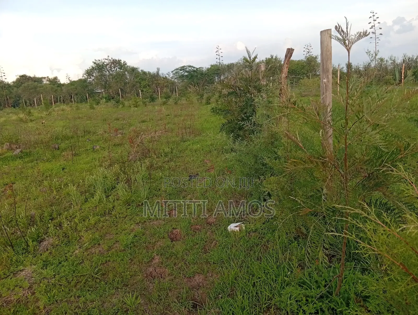1/2 an Acre Muting'a Malaa
