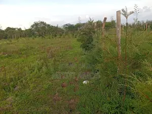 1/2 an Acre Muting'a Malaa