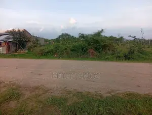 1/2 an Acre Muting'a Malaa