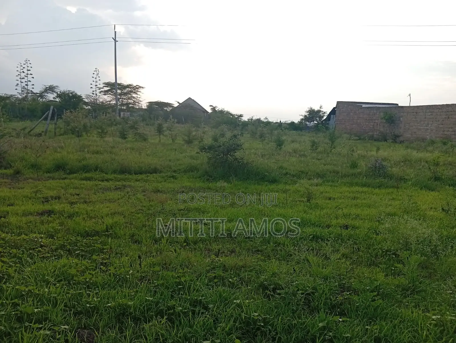 1/2 an Acre Muting'a Malaa