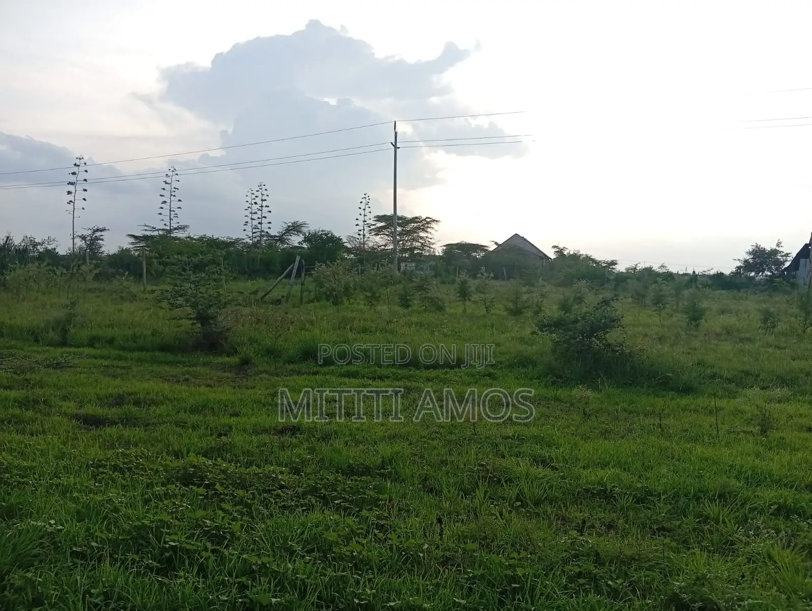 1/2 an Acre Muting'a Malaa