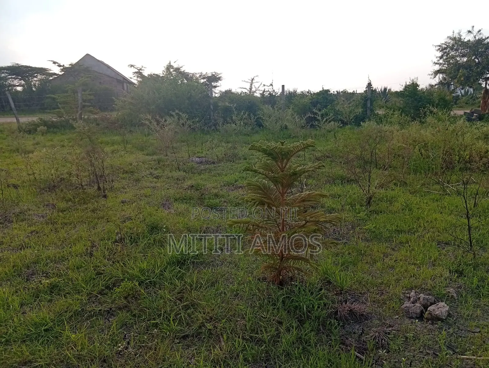 1/2 an Acre Muting'a Malaa
