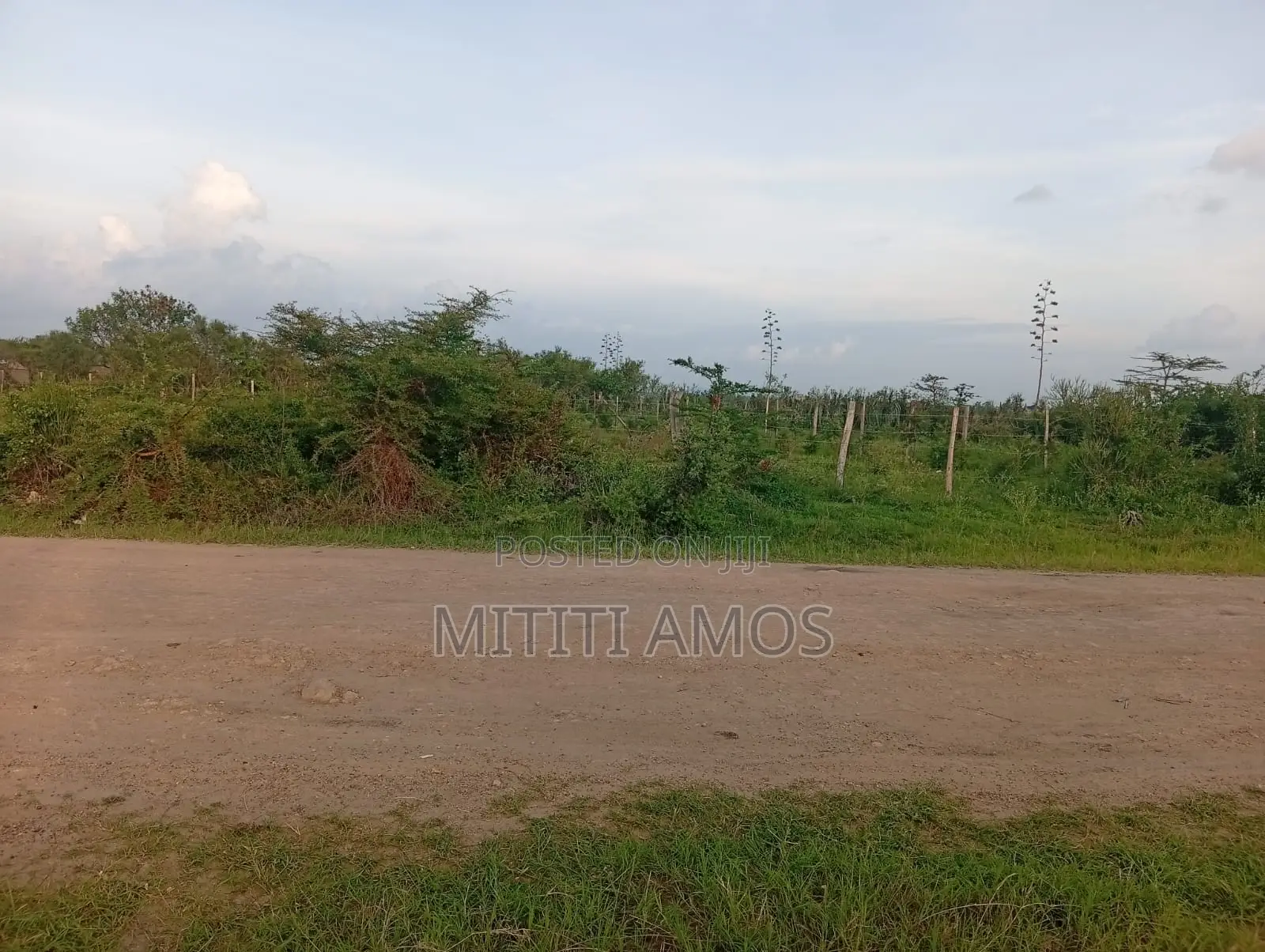 1/2 an Acre Muting'a Malaa